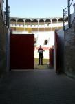 66. En la arena de una plaza de toros (de una plaza de toros fija, no una portátil o desmontable).