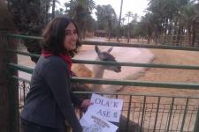 19. Al lado de una llama de verdad (animal) con un cartel que diga 