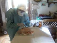 76. Vestido/a de cirujano operando un pollo (el pollo que pillas en la carnicería, no uno vivo, animalicos).