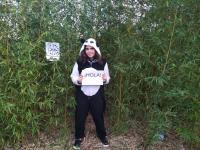 94 Disfrazad@ de oso panda con un cartel en el que ponga 