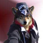 Erawen es un lobo