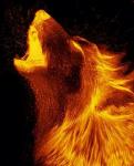 Lobo de Fuego para Dama
