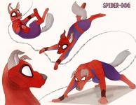 Spider DOG!!