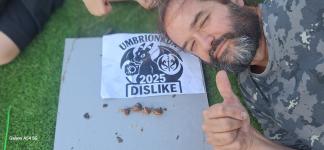 83.con un grupo de animales vivos no humanos haciendo la conga