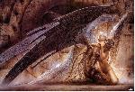 Fallen Angel 