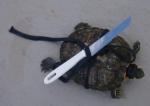 [B]Tortuga Ninja  al ataque!!![/B]