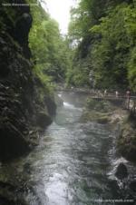 Foto anterior
