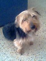 Foto siguiente