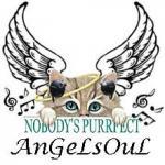 AnGeLsOuL music