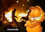 Foto siguiente
