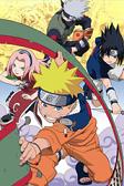Naruto: ninjas de la aldea oculta