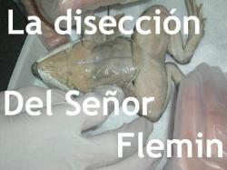 La disección del Señor Flemin