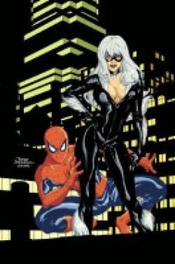 Las aventuras de Spider-Man y Black Cat #1 - La unión