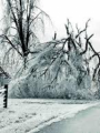 El portador del hielo 1.1