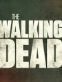 The Walking Dead. Washington D.C. (+18)