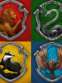 Hogwarts 2 (+18): Los años venideros