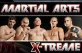 Torneo extremo de artes marciales