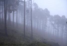 El Sendero de la Niebla