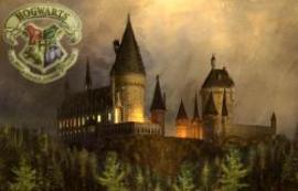 Hogwarts: ¿Escuela o cárcel?