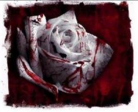 Rosenrot