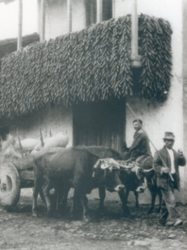 Crónicas de A Montelada