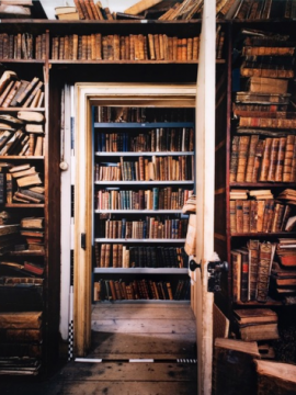 Detectives literarios