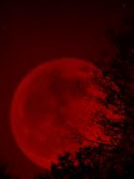 Bajo el fulgor de la Luna Roja