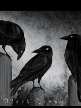 Raven Team