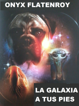 Onyx Flatenroy: La Galaxia a tus pies