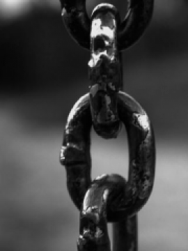 Insignia perdida - Nuevos Comienzos