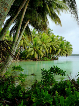 ma pi toki pona - La Isla del Buen Hablar