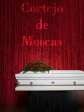 Cortejo de Moscas