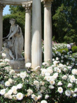 Jardín de rosas 