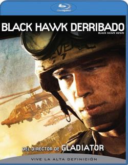 Black Hawk derribado