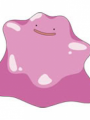 Ditto