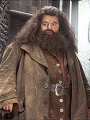 10 - Rubeus Hagrid
