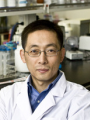 Atsushi Oka