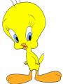 Piolin