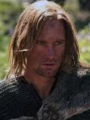 Harald Torkell