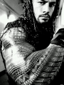 Lobo