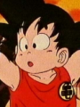 z/ Goku