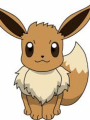 P.Eevee