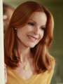 Bree Van De Kamp