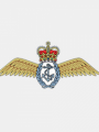 Royal Navy Flying Corps 