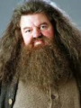 (muerto)Hagrid