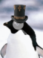 Harry Penguin