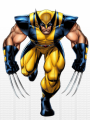 Wolverine