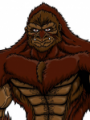 Megasasquatch