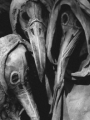 LAGRITOS doktorea