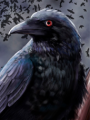 Crow, the Raven